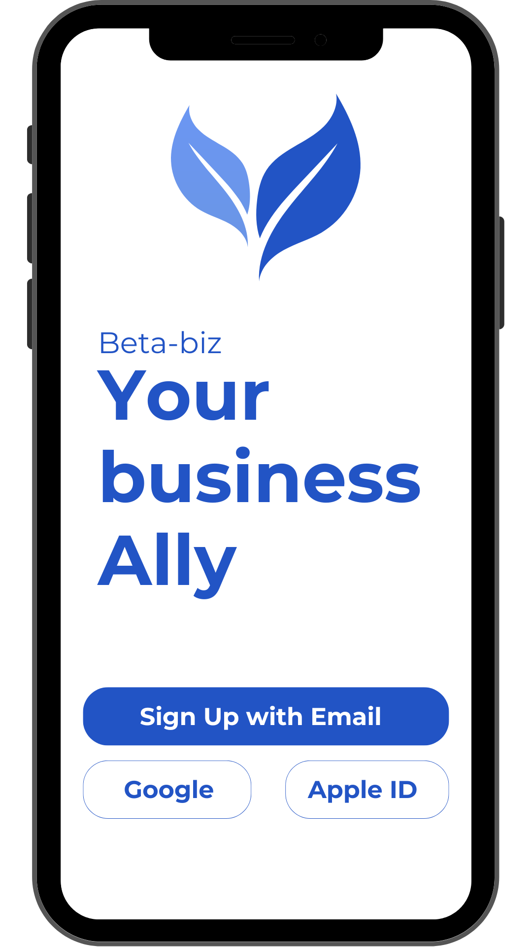 Beta Biz — A mobile-first AI-powered financial assistant Screenshot